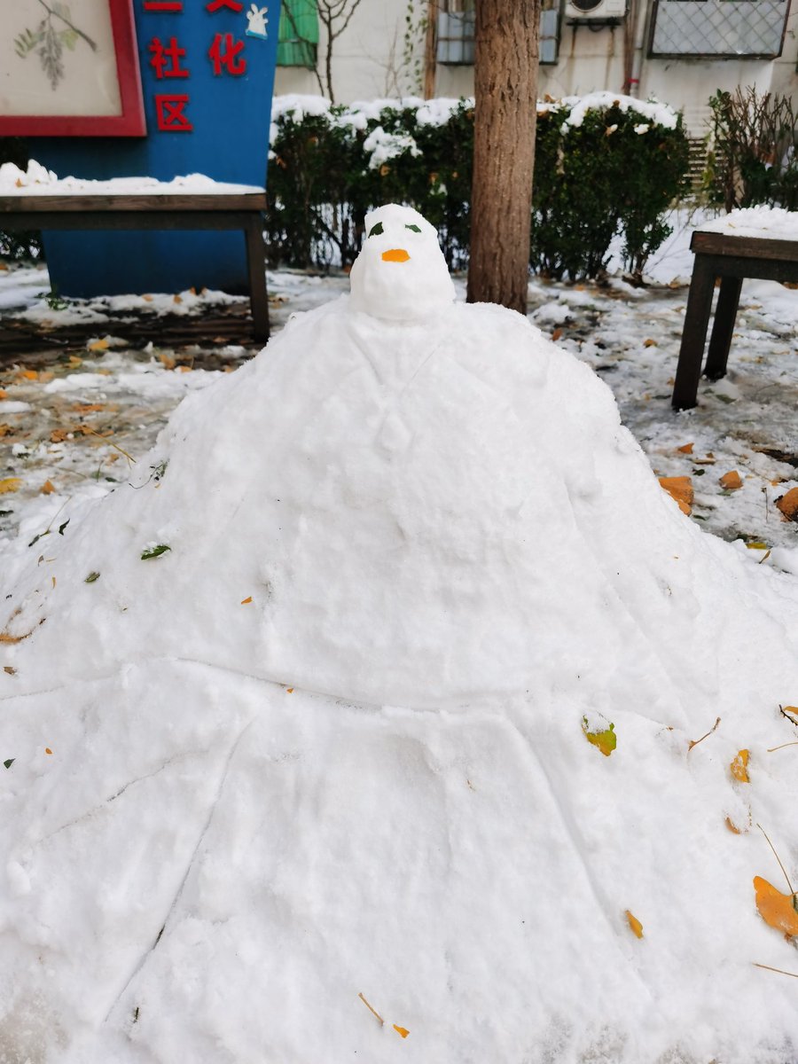 ditto_zh's tweet photo. 瑞��兆丰年。前段时间北京下了好大的雪。 https://t.co/IptrWjLO8v