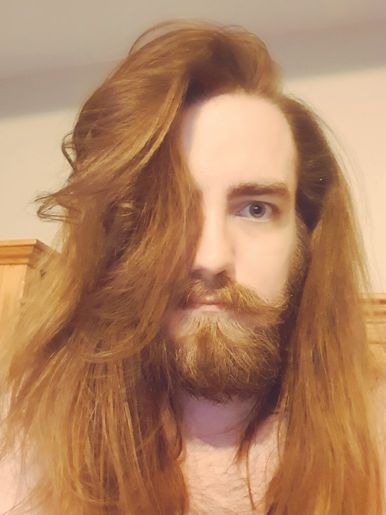 Kyle 🌱 tweet media