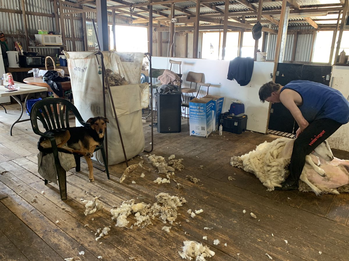 Well. Good life for some