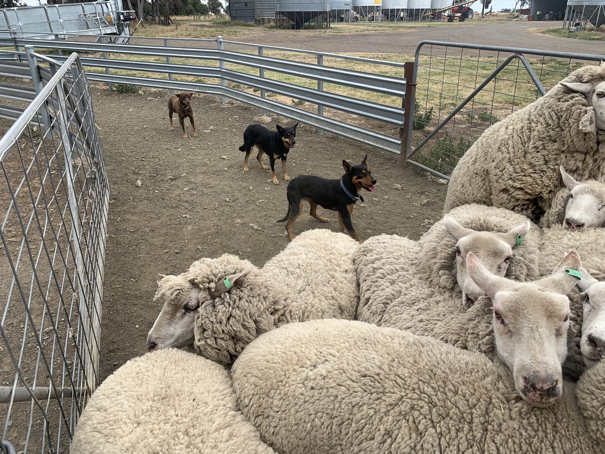 Charles de Fegely tweet media