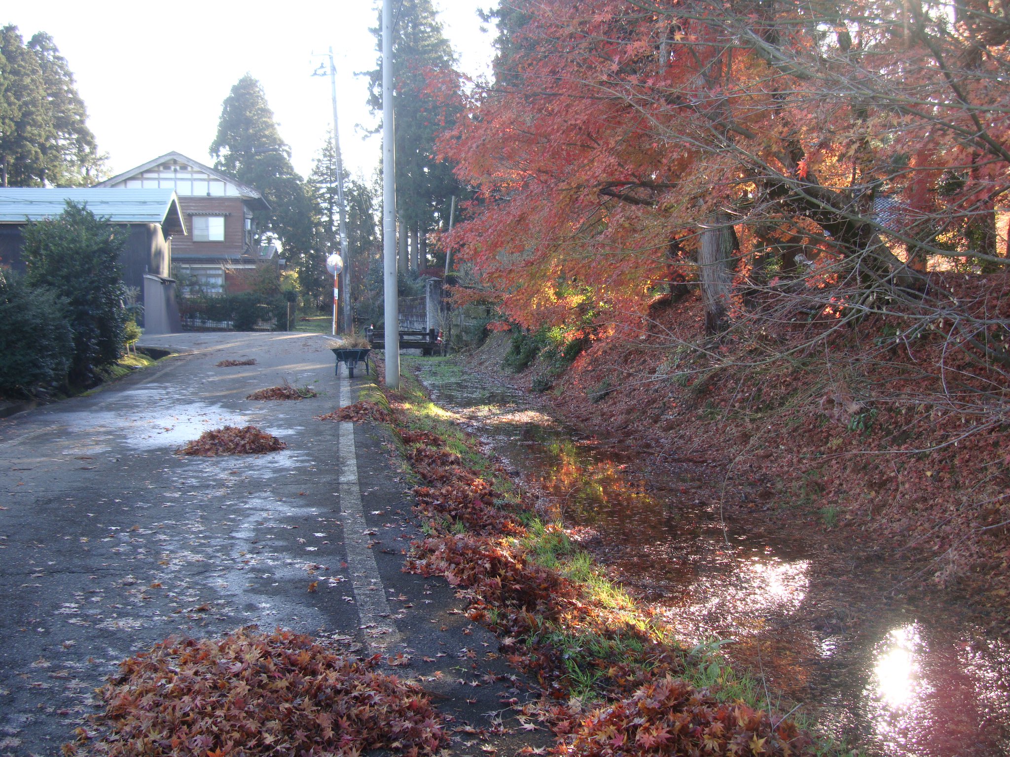 お庭掃除 Twitter Search Twitter