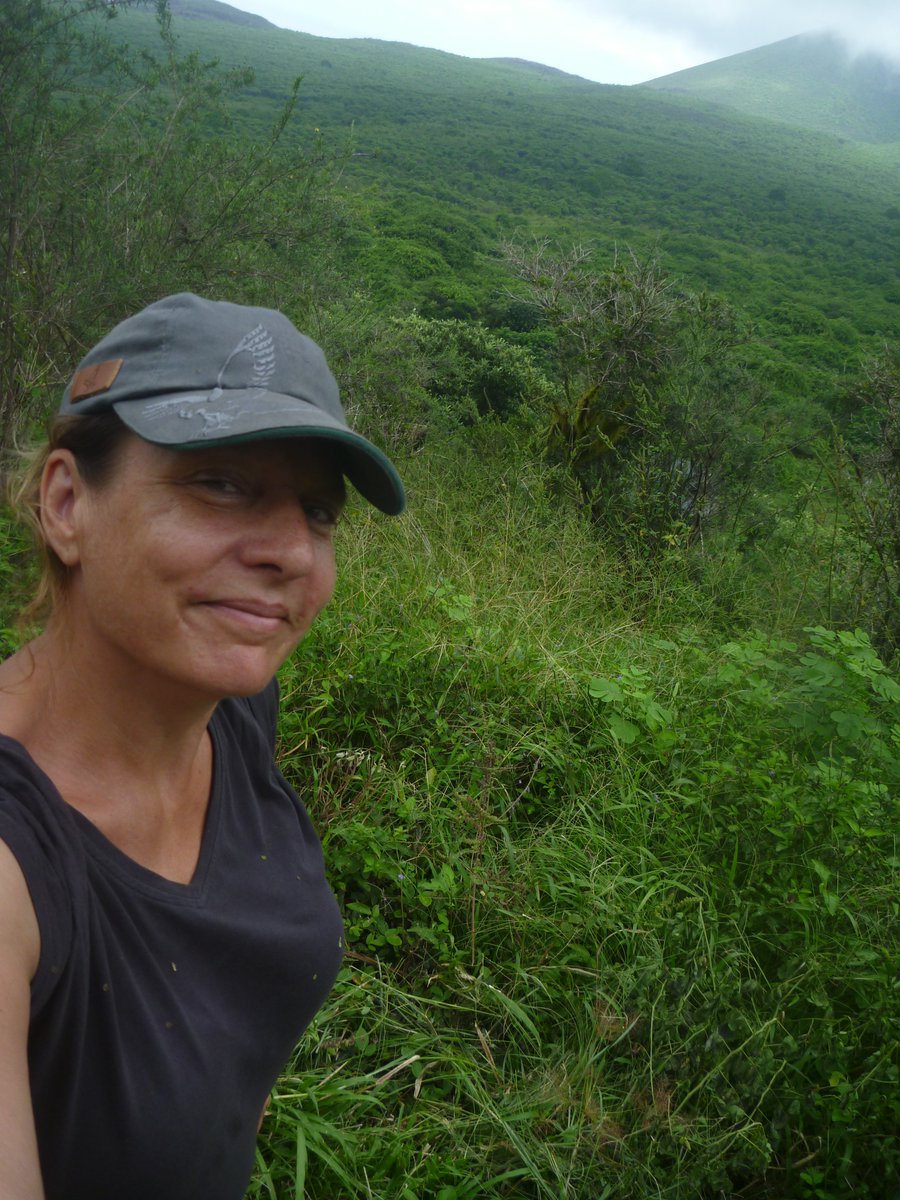 Sonia Kleindorfer tweet media