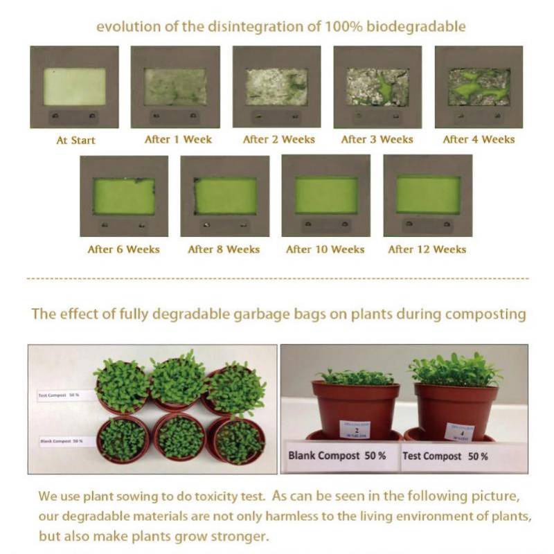 FlowerDiligent's tweet photo. Biodegradable Plastic Products by #Sealong 
we provide the best quality #biodegradable plastic bags here in China. There is variety of biodegradable bags at our factory. All our products are 100% biodegradable and #Ecofriendly. https://t.co/DCxkoPdA9q https://t.co/knnuJhlFBb