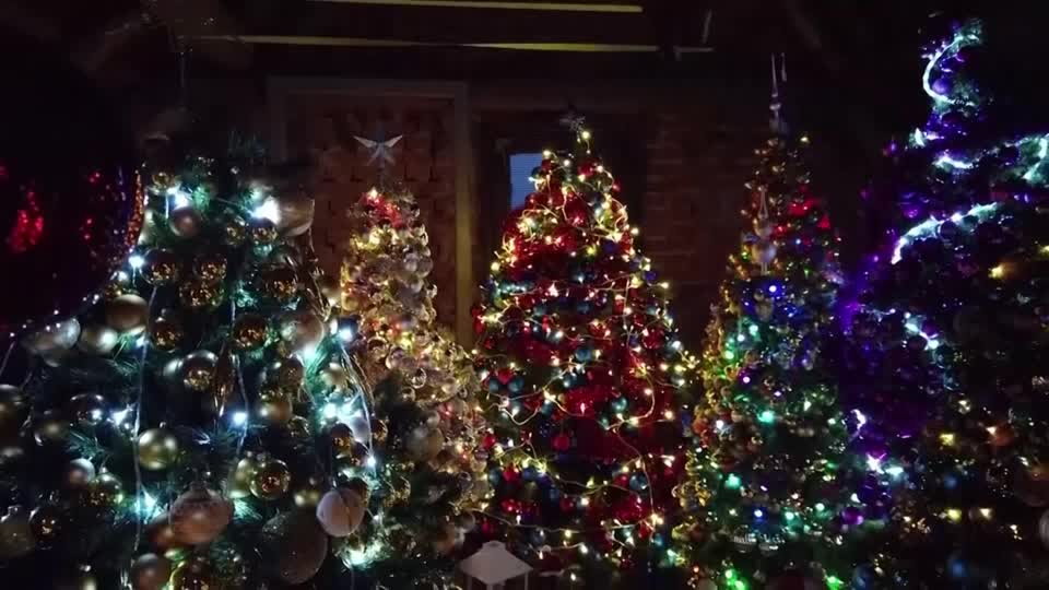 Reuters on Twitter "German couple Thomas and Susanne Jeromin set a new