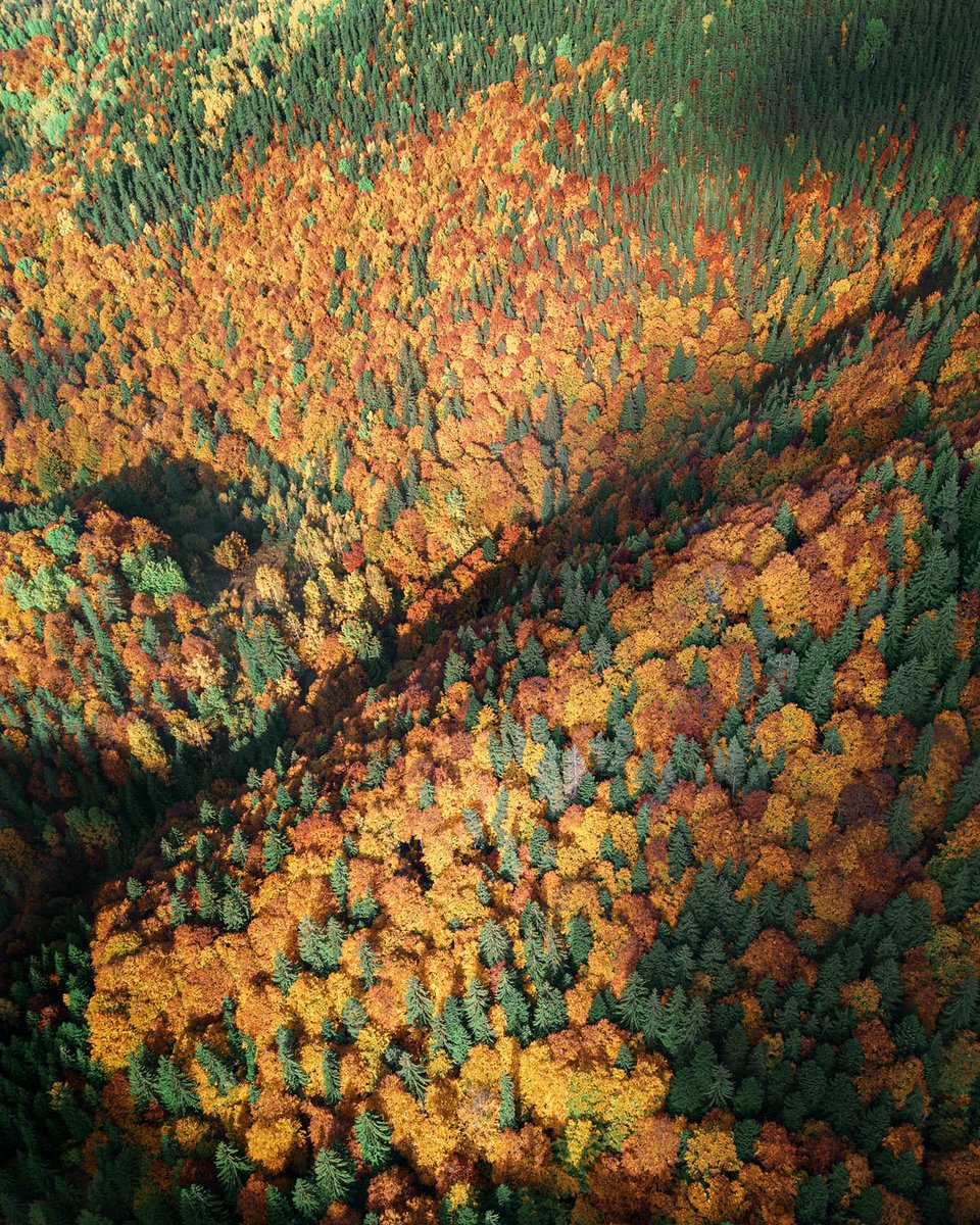 VB_Photography's tweet photo. When you are in the right place at the right time :)
https://t.co/EYlmXRGpfB
#drone #bulgaria #dji https://t.co/0Daf967Tt8