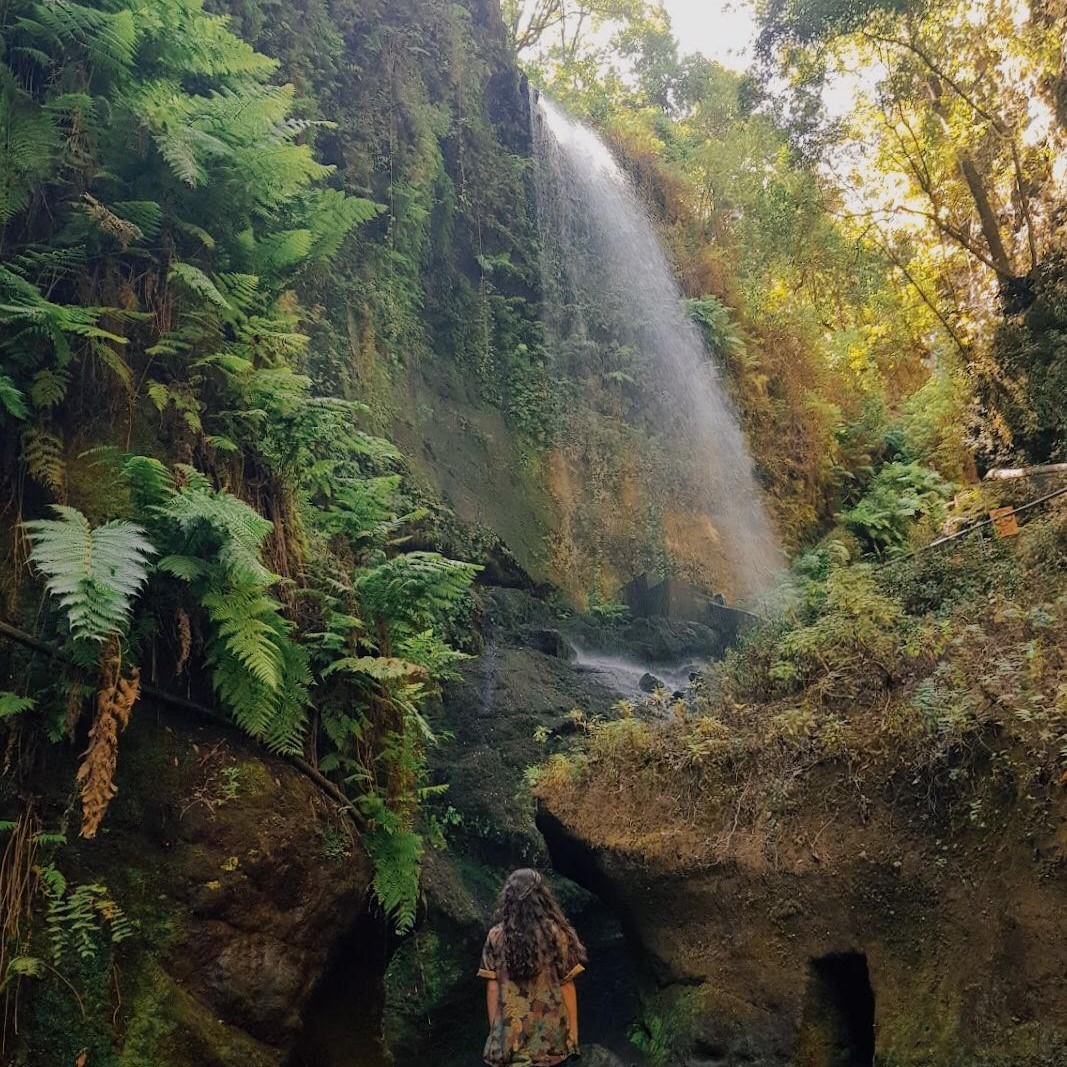 🌿 Los Tilos 📷 <a href="/andurriante/">Andurriante 🎈</a> #LaPalma
