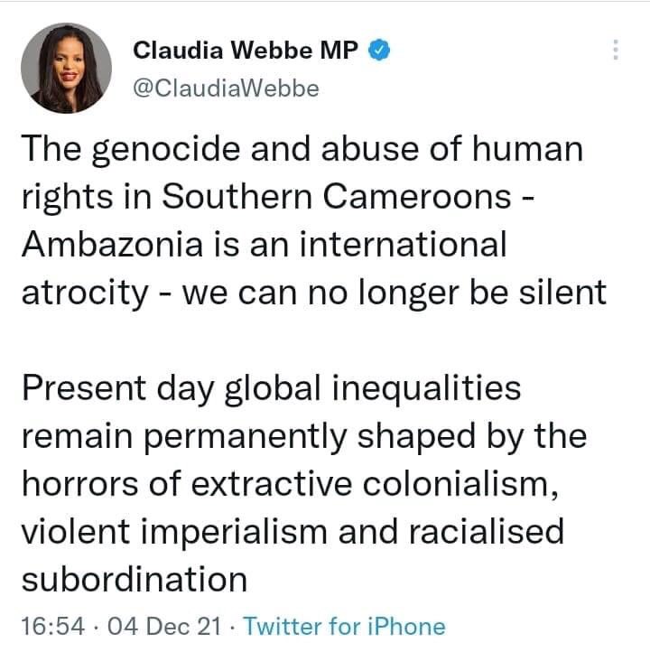 Of course. The root cause of the Ambazonia War of Independence is the annexation of Ambazonia and the colonisation of its peoples by neighboring French Cameroun. Under false pretenses.