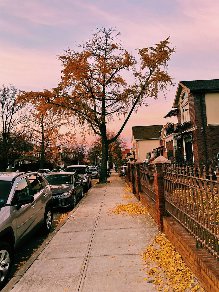 vi_its_me's tweet photo. Brooklyn be like https://t.co/47FEzkACd3