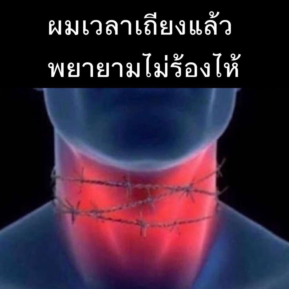 ⌗ 𝗯𝗲 𝘆𝗼𝘂𝗿 𝗵𝗼𝗺𝗲 🏠🪴 tweet media