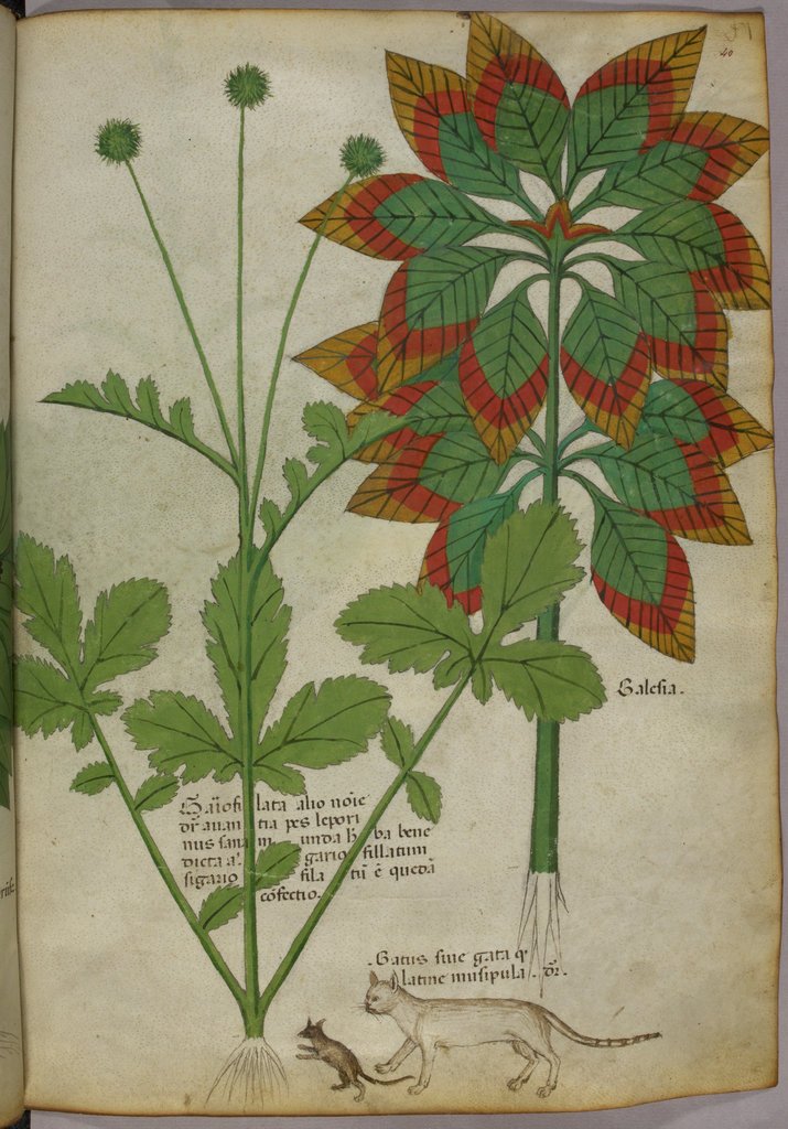 BL Prints & Drawings tweet media