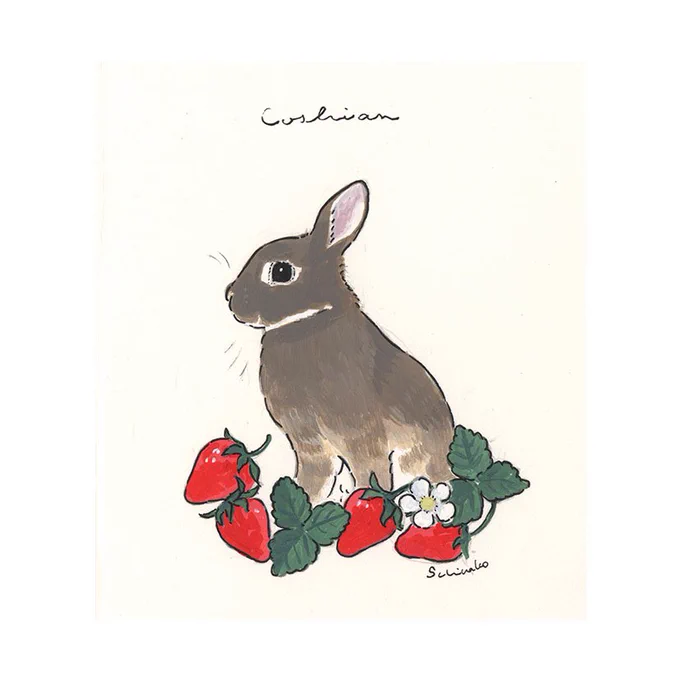 かわいいお名前のうさぎさん。この方もいちごリクエスト🍓苺大福みたい(大好き)
#うさぎさんポートレート 