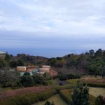 ツイートに含まれる画像