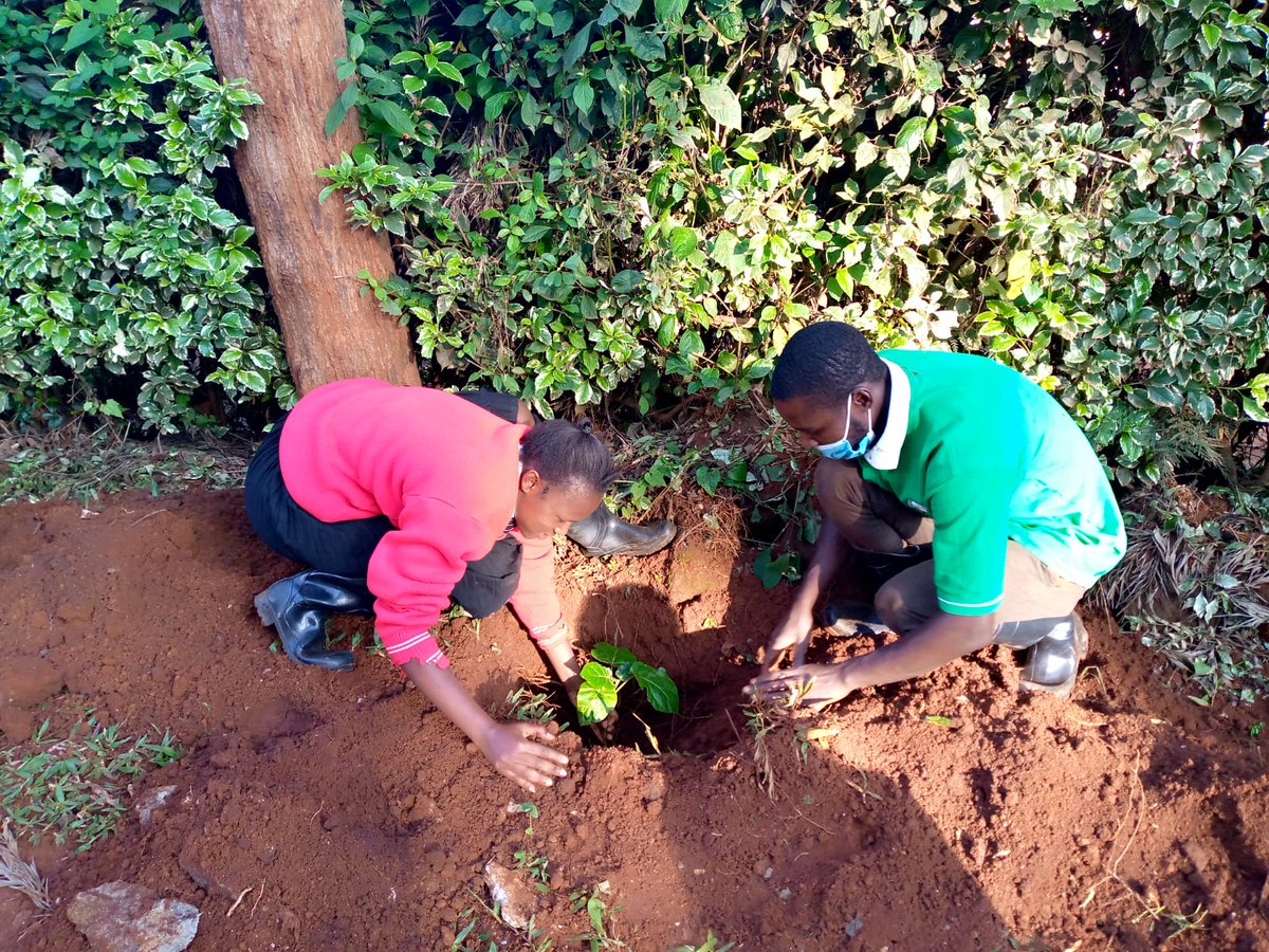 COSDEP KENYA tweet media