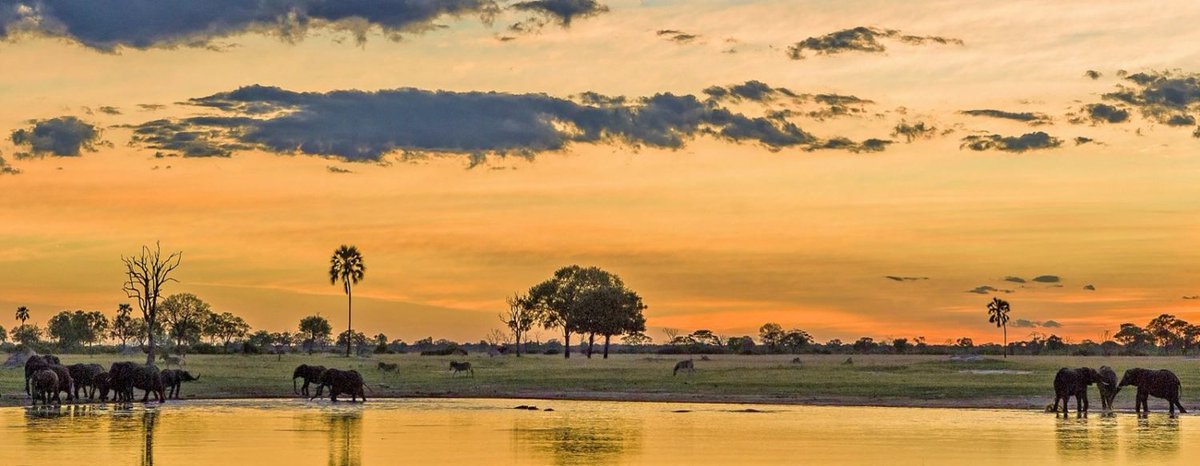 CouncilTourism's tweet photo. Botswana-Our pride, your destination
Celebrating the important efforts of Sustainable Biodiversity Conservation in Africa. #SustainableTourism #SustainableBiodiversity #Botswana https://t.co/VFpntF6ac5