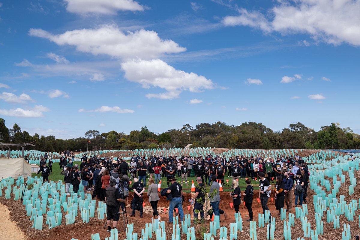 John Carty tweet media