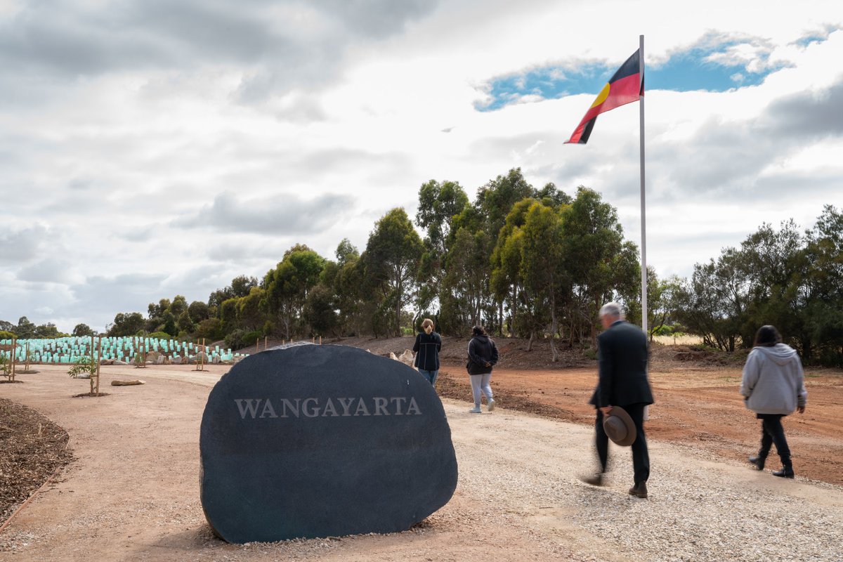 John Carty tweet media