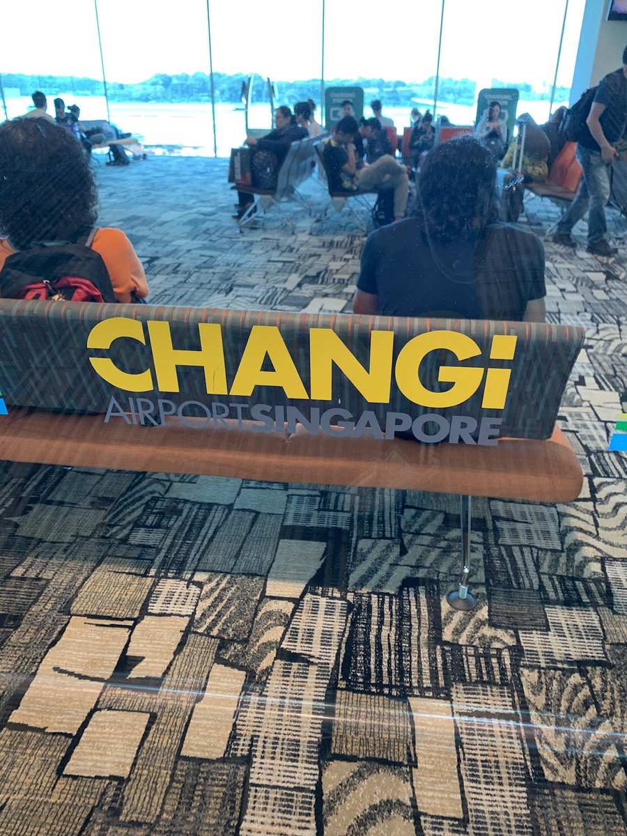 MattLinWrites's tweet image. My favorite part about writing Contemporary is setting it in real-life places. 

My current WIP is set in Singapore and I’m excited to write about Changi Airport and draw from my own personal experience! The most beautiful airport I’ve been to ❤️

#WritingCommunity #MethodWriter