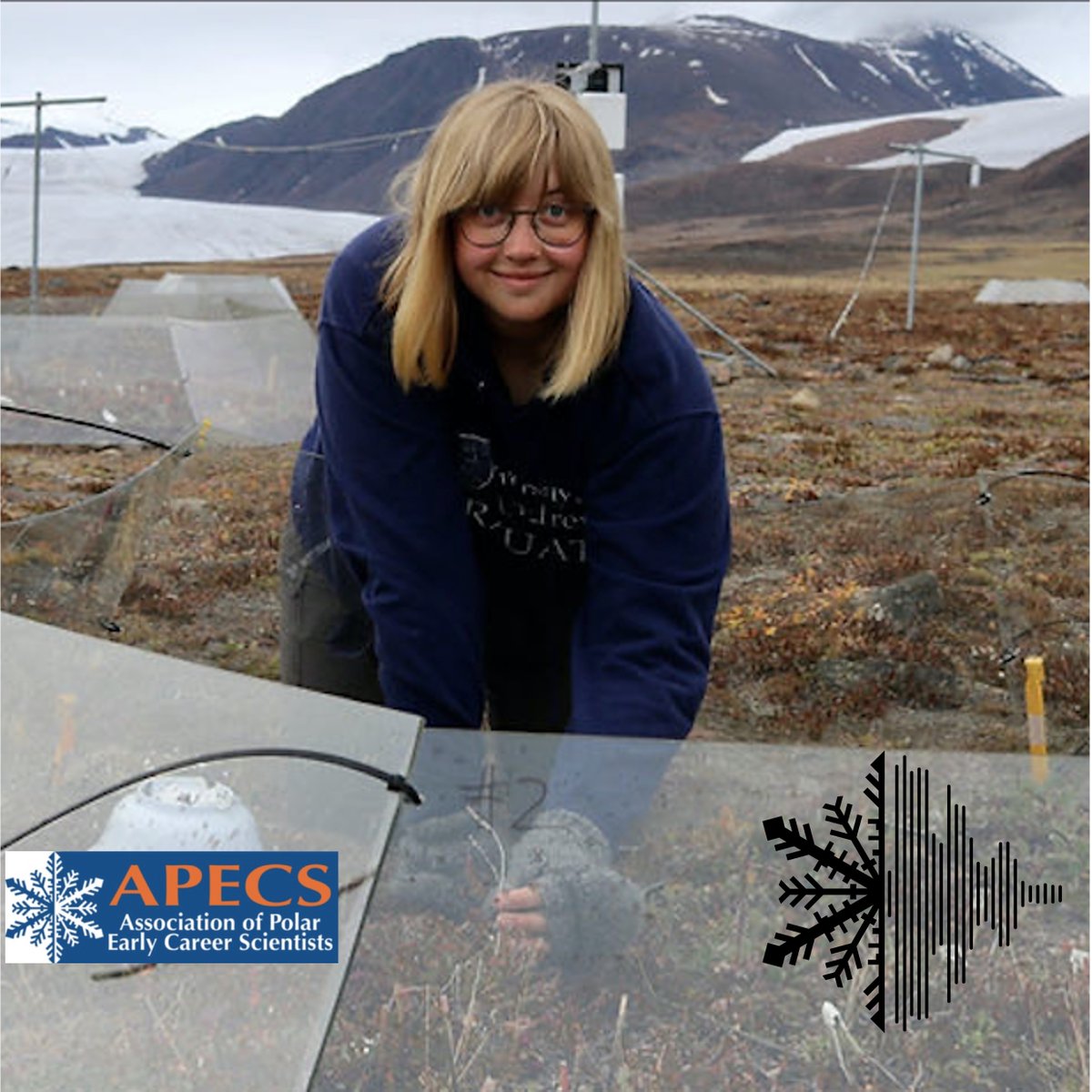 Polar_Research's tweet photo. ๐ง New #PolarTimes out today! ๐ง
Elise Gallois talks shrubification and all things Arctic tundra. Team Shrub, ITEX and science comedy also feature!
๐จ Image: Elise Gallois
#PolarPodcasts https://t.co/GIeHyWouBr