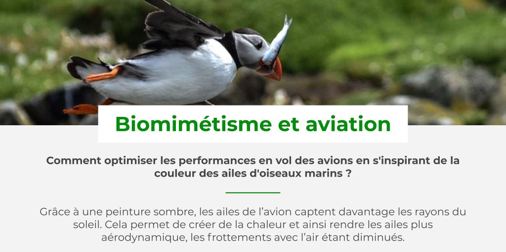 Bioxegy tweet media
