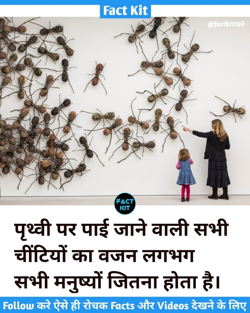factkit100's tweet photo. #ants  #facts #amazingfacts https://t.co/jqe8HIIzhT https://t.co/hPSE1Ldzgi