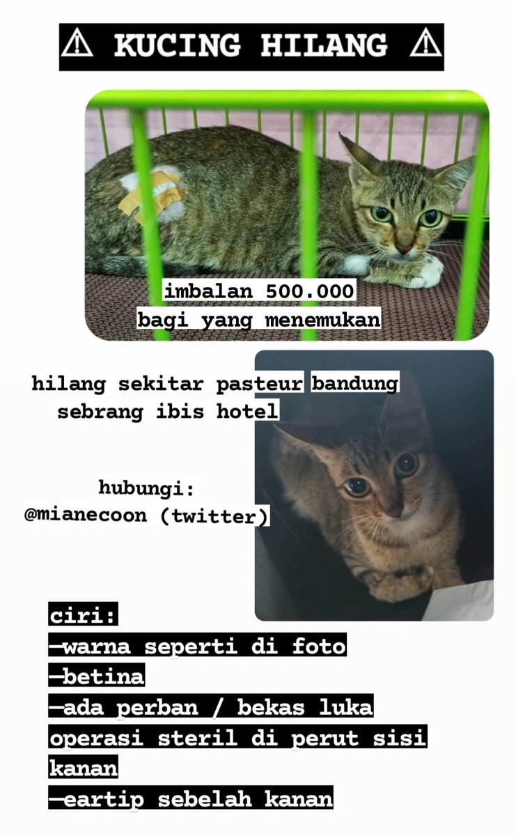 ZOO_FESS tweet picture