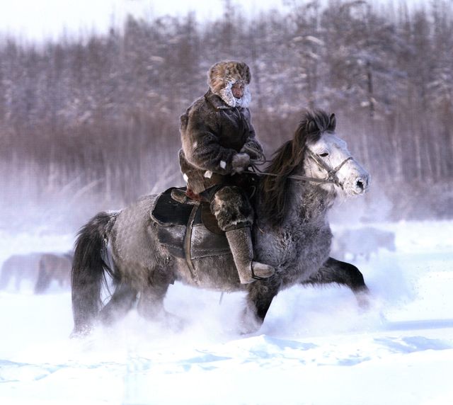 Якутская сказка волк и лошадь