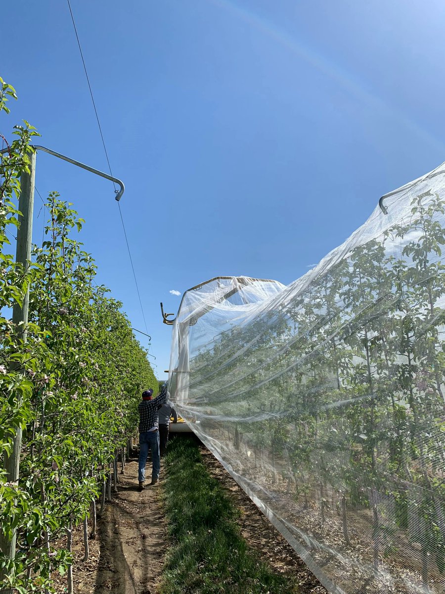 DrapeNet's tweet image. Come visit us at the Great Lakes Expo!  Ely is ready to answer all of your questions to get you involved with Drape Net in 2022.