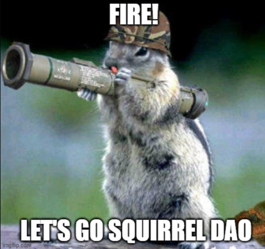 Squirrel DAO(🌰, 🌰) tweet media