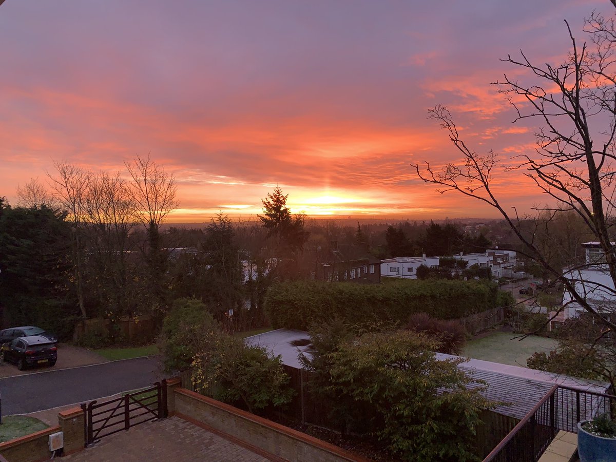 Suzi Woolfson tweet media