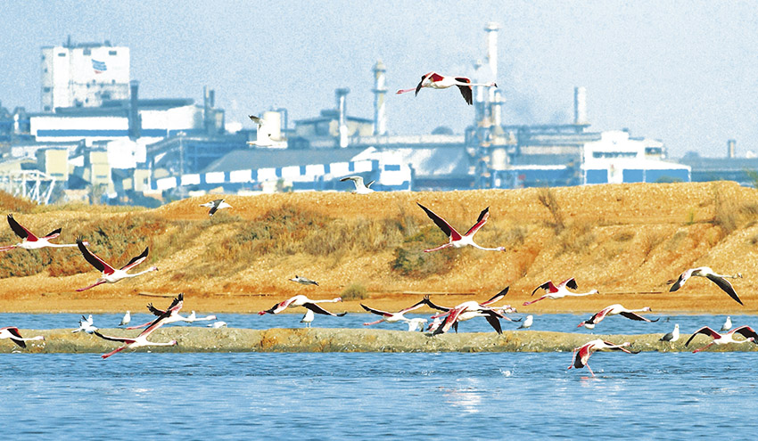 💧 @Agbar construirá una planta regeneradora de aguas industriales de vertido cero pionera en España.

➕ Atlantic Copper ha firmado un contrato con la UTE formada por Aquatec y Lantania para su construcción, con un presupuesto de 12 millones de euros.
retema.es/noticia/aquate…
