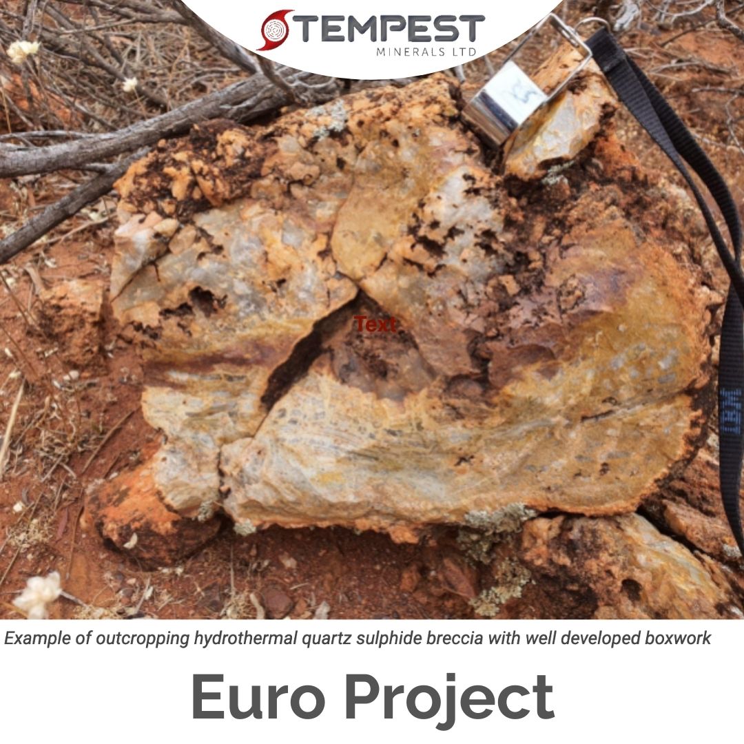 tempestminerals's tweet photo. The Euro Project is primarily targeting gold within quartz veins and surrounding altered rocks, or associated with massive sulphides, which outcrop as weathered gossanous stock and boxwork.
#europroject #tempestminerals #miningaustralia #exploration #gold https://t.co/FAPJiaQzbd
