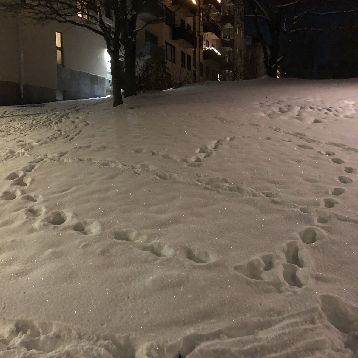 Ann-Marie Strand tweet media