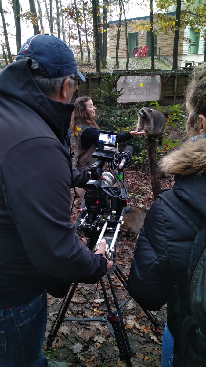 ParcArgonne's tweet photo. Jeudi vers 13h, diffusion du #reportage réalisé par @Meteoalacarte il y a 1 mois. Un portrait de Nicolas, fauconnier au Parc et également éleveur de #daims ! Hâte de le découvrir 📺 https://t.co/67t5qSWY2L