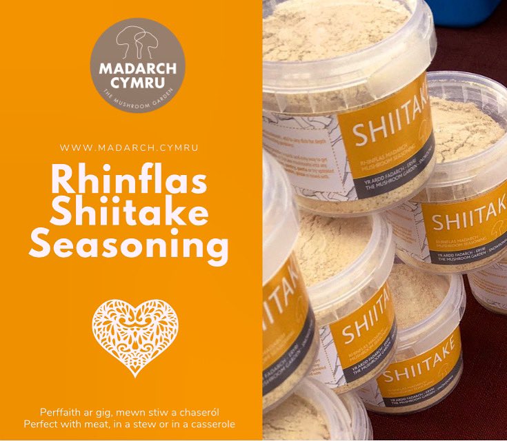 🎁 Dyddiad postio olaf ar gyfer y Nadolig: Rhagfyr 16. Diolch!
🎁 Last day for posting for Christmas gifts: December 16. Diolch! 
madarch.cymru