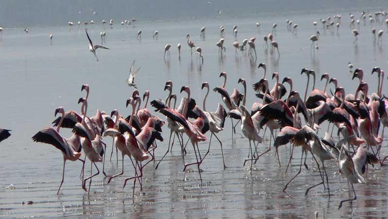CouncilTourism's tweet photo. Beautiful #Burundi 
Celebrating the important efforts of Sustainable Biodiversity Conservation in Africa. #Burundi #SustainableTourism #SustainableBiodiversity https://t.co/Al7X5Gc8Gx