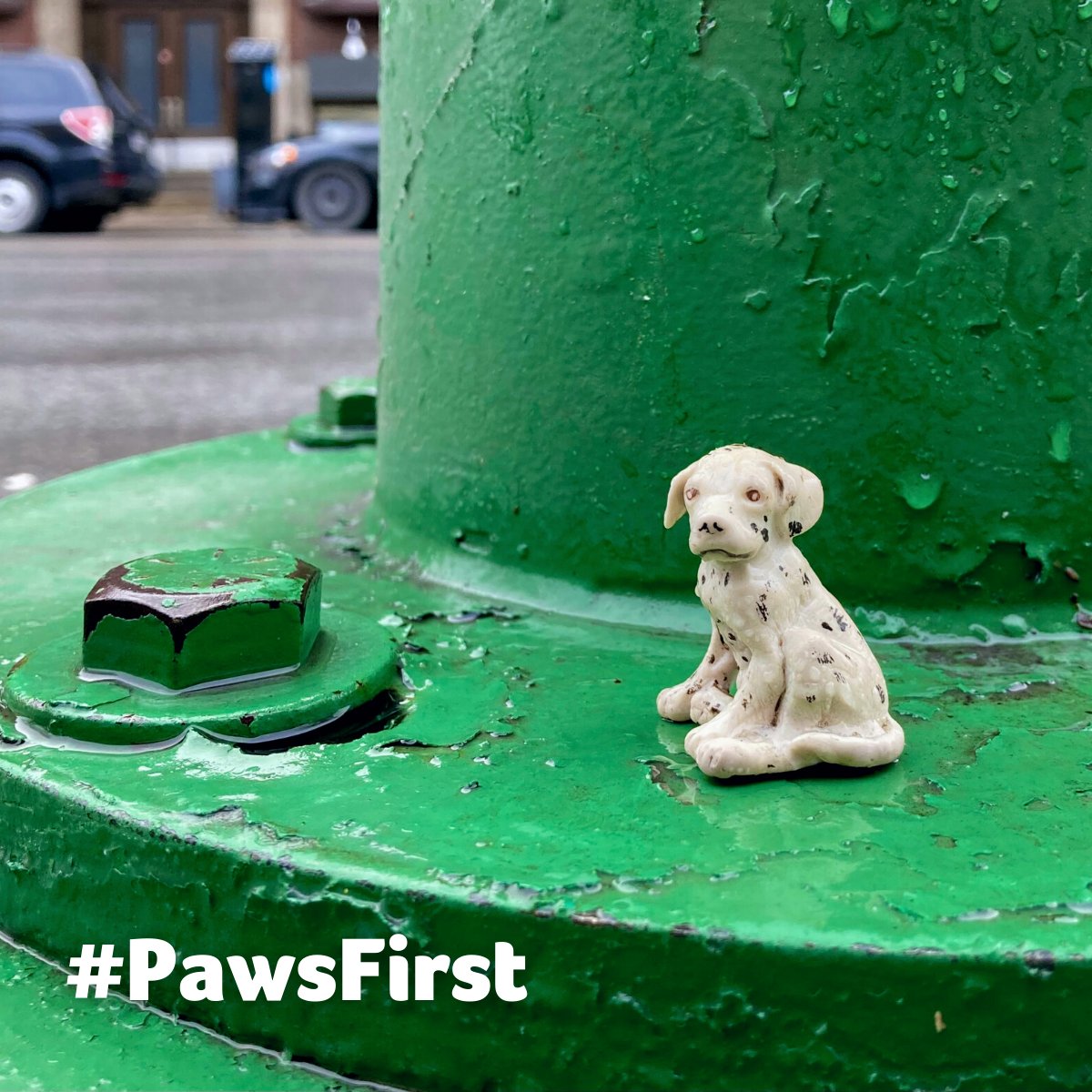 PDSA_HQ's tweet photo. Pets need a lot of time, attention, nurturing, & there are lots of costs associated with them. Many underestimate how much of a commitment getting a pet is, which sadly leaves many abandoned after #Christmas. That's why we're urging people to #PawsFirst ✋ https://t.co/U00ZLFkrY2 https://t.co/sSizcdfIAz