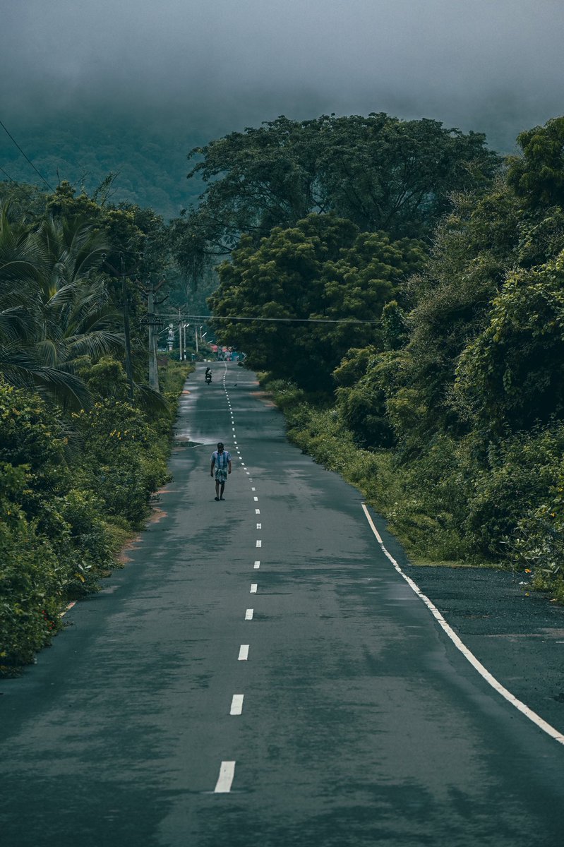 easswarkalyan's tweet photo. The #monsoon2021 bliss .#Udumalpet #TamilNadu #ChennaiRain #rainbowtoken #photography #Nikon #pollachi @NammaPollachi @tntourismoffcl @NammaTamilnadu_ @youpic #easswarkalyan @ttdctnofficial @udumalaifrog https://t.co/sORjTgI1jO