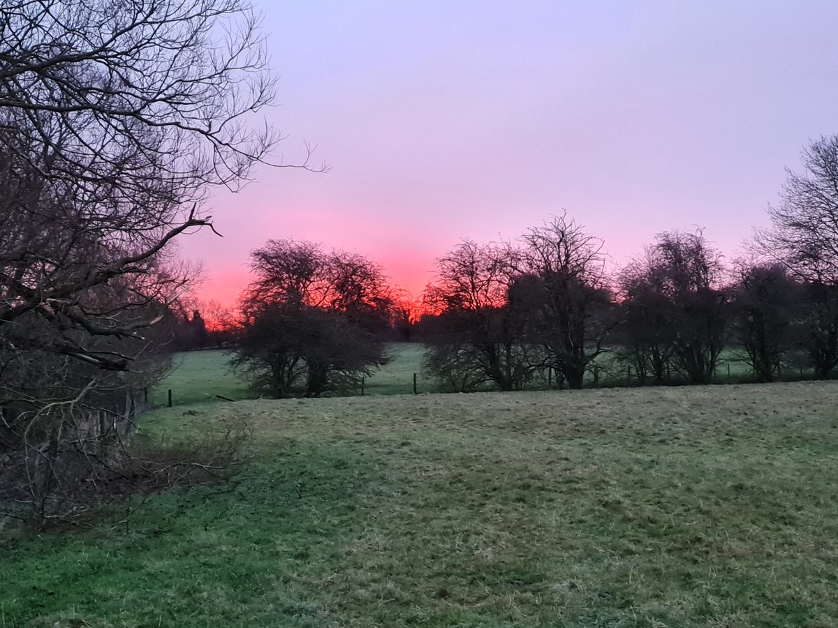 <a href="/NNskies/">jaja 🐯</a> <a href="/NNweather/">Northamptonshire Weather</a> <a href="/LincsSkies/">Lincolnshire Skies</a> #stormhour #StormBarra #welford
The calm before the storm? 2°c and a good ground frost. A lovely start to a chaotic day?