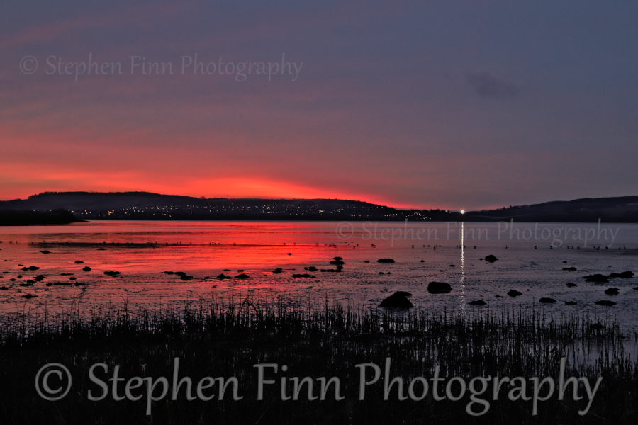 Stephen Finn Photography tweet media