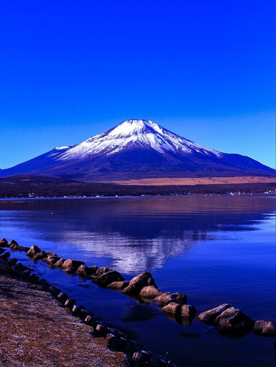 山中湖きららからの