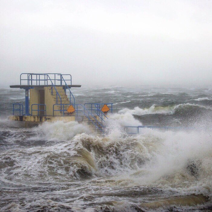 Peter McGann tweet media