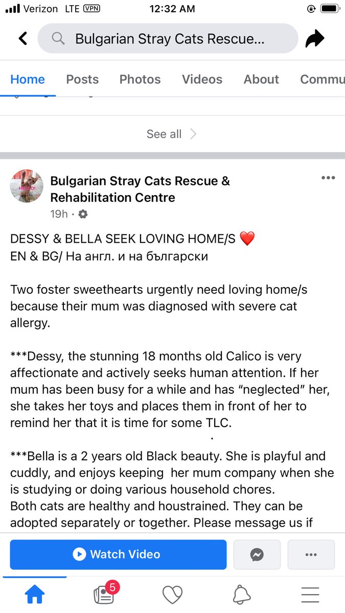 Please help. #cats #Bulgarianoutrage #lovethecats
