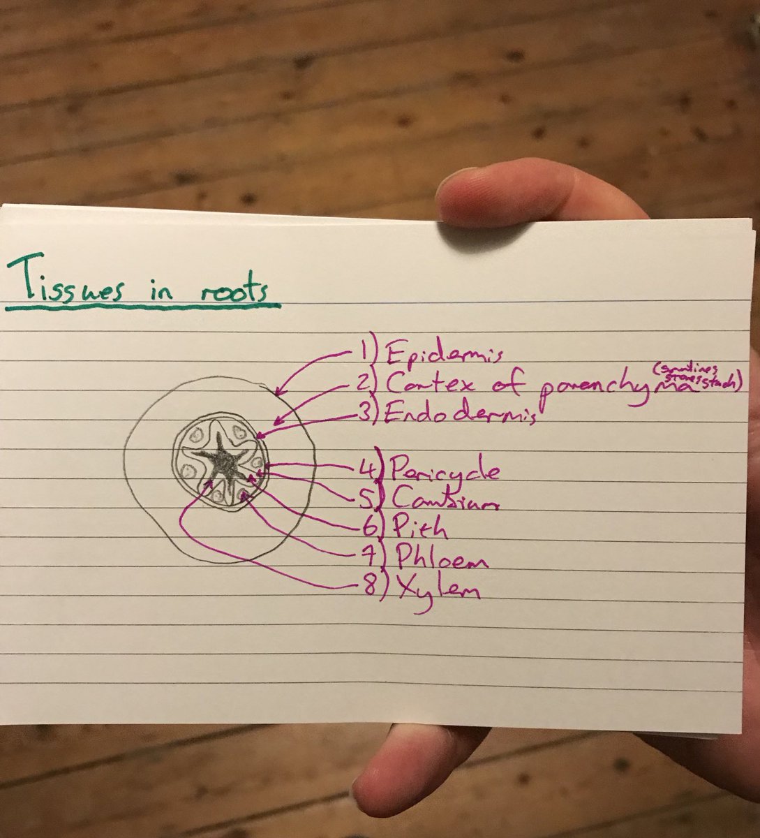 jackwallington's tweet photo. Found some old notes from studying ⁦@RHSEducation⁩ courses - I miss studying, if only every week had a study day https://t.co/K9LiA60mZo