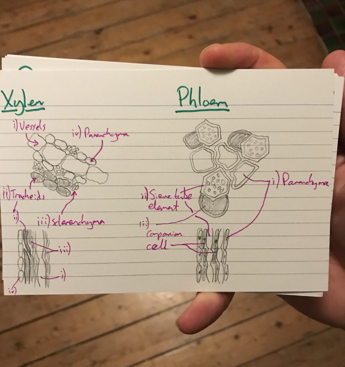 jackwallington's tweet photo. Found some old notes from studying ⁦@RHSEducation⁩ courses - I miss studying, if only every week had a study day https://t.co/K9LiA60mZo