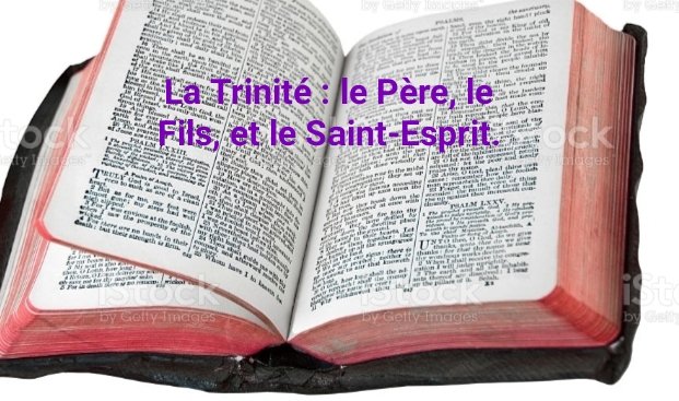 MaranathaLe's tweet photo. La Trinité

Il y a un seul Dieu : Père, Fils et Saint-Esprit, unité de trois personnes co-éternelles. Dieu est immortel, omniprésent, omniscient, souverain et toujours présent.  

(Gn 1.26 ; Deut 6.4 ; Es 6.8 ; Mat 28.19 ; Jean 3.16 ; 2 Co 1.21,22 ; 13.14 ; Ep 4.4-6 ; 1 P 1.2) https://t.co/kuodoDvR1P
