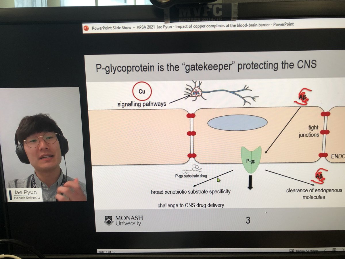 JoeNicolazzo's tweet photo. Magnificent presentation by @jae_pyun at @APSA_News Conference: clearing the way for Alzheimer’s disease! Not sure what’s more animated…the slide or Jae! https://t.co/Gd6aiqJPQU