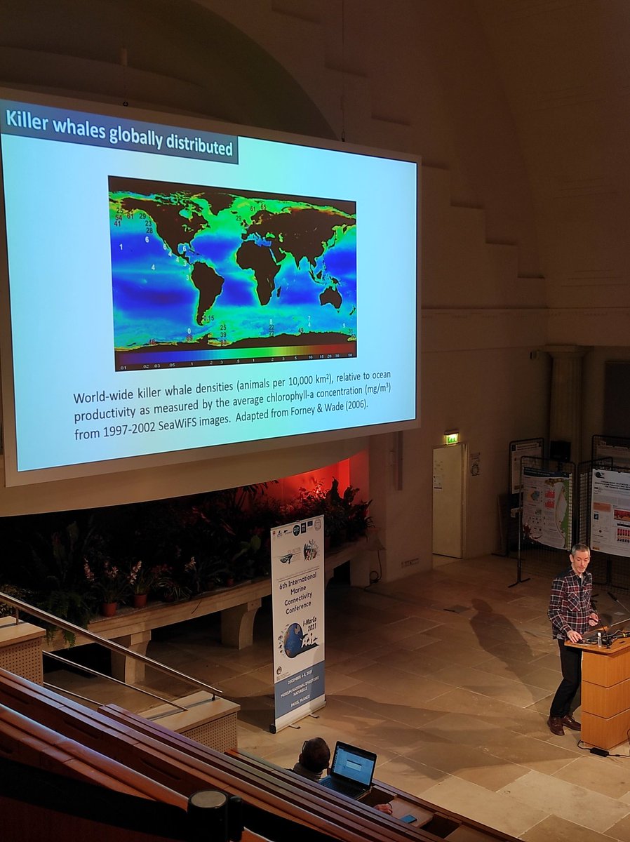 leoneago's tweet photo. Another day, another good start with @oegaggiotti talking about global #genomic #connectivity among killer whale #populations #IMarCo #6marco #SeaUnicorn @SeaUnicorn2020 #orca https://t.co/HejJOiFUi1