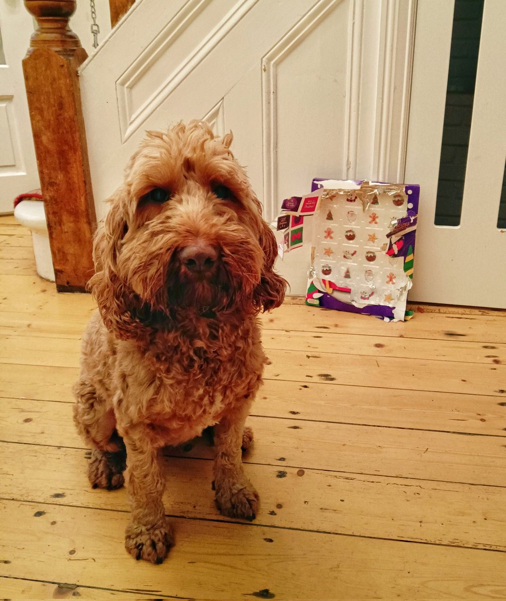 chris dewhurst tweet media