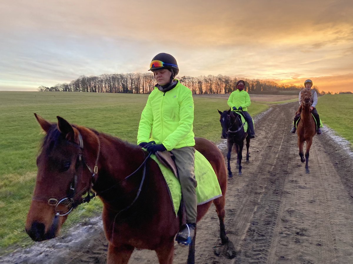 Zero degrees at the outset this morning <a href="/NewmarketGallop/">Newmarket Gallops</a> and it does feel cold as the air is so damp. Our ‘shepherd’s warning’ told us what to expect yesterday, ie a wet afternoon, and I fear it will be the same story today.