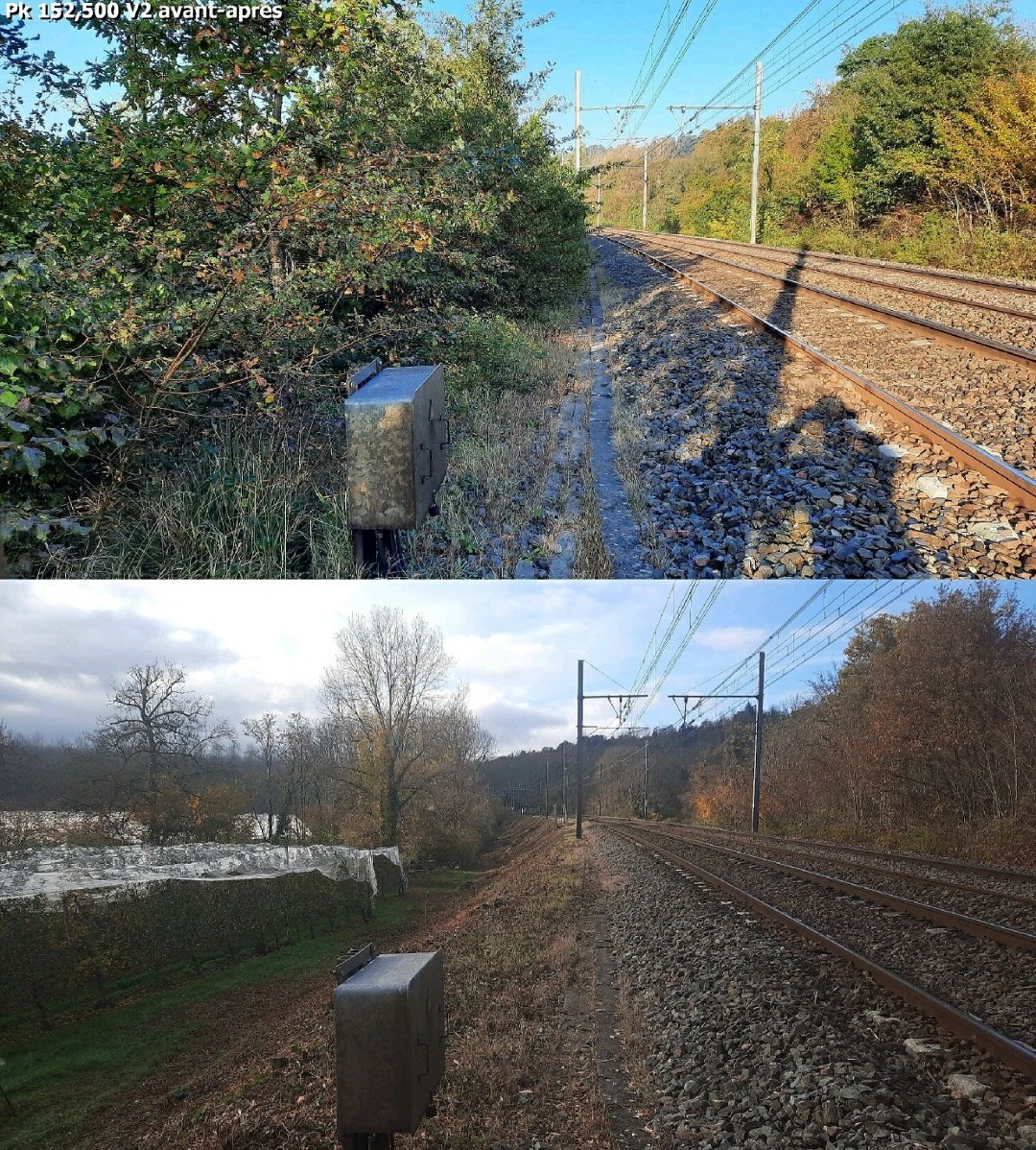 swimcach's tweet photo. Ça y est, la quasi totalité des 🍃🍂🍁 sont tombées des arbres.

Le traitement de la végétation qu'@SNCFReseau réalise toute l'année s'avère déterminant pour cette période délicate afin de préserver la sécurité et la régularité des trains

#CalendrierDeLavent de @LaTeamTrain 
#J7 https://t.co/V2YaiyeaG0